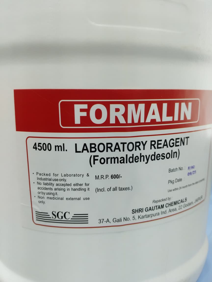 WhatsApp Image 2025-10-29 at 19.29.22_6bd40212